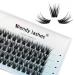 Individual Lashes C Curl Cluster Lashes 0.07mm 14mm DIY Lash Extensions Wide Stem Individual Eyelash Clusters Reusable Soft and Wispy Clusters Eyelash Extensions(FD-D29-0.07-C-14) RR-14mm D29-0.07-C