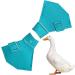 higyee Wildlife Protection Shoes - Anti-slip Protection Shoes for Wildlife | Shoes for Goose and Large Ducks Birds Hens Duck Accessories - Buy Online on SooperMarket.com
