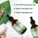 Advanced Rosemary Oil for Hair & Skin Care - 100% Pure, Nourishes Scalp, Stimulates Growth, Improves Blood Circulation - Buy Online on SooperMarket.com