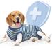 Supet Dog Recovery Suit for Dogs Cats After Surgery, Pet Surgery Recovery for Dog Substitute E-Collar & Cone, Prevent Licking Dog Wound Puppy Surgical Clothes M( Back Length:12.6"-15.7") Blue striped