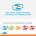 Nylabone Puppy Chew Toy Twin Pack - Medium Chicken Flavor Teething Toys for Puppies - Best Puppy Supplies (2 Count) - Buy Online on SooperMarket.com