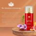 Shankara Timeless Restorative Skin Elixir - 2-in-1 Ayurvedic Anti-Aging Serum & Kumkumadi Face Oil with Red Gold Saffron Vitamin C & Sandalwood - Nourish Skin Naturally - Buy Online on SooperMarket.com