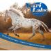 Nutrilabs Hoof Support Pellets 3 KG - Premium Dietary Supplement for Horse Hoof Care with Biotin & MSM | Enhance Equine Health - Buy Online on SooperMarket.com