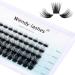Soft and Wispy D Curl Cluster Lashes 0.07mm | 8-16mm Individual Eyelash Extensions - Buy Online on SooperMarket.com