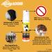 AllDay Locks Braid Foam (8 oz) & Braid Spray (12 oz) Bundle | Frizz Control Lightweight Easy to Apply | Sets & Revives Braids Locks Twists Cornrows - Buy Online on SooperMarket.com
