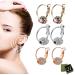 Lymphatic Drainage Slimming Earrings Magnetic Therapy Weight Loss Earrings EarAcupressure Magnetherapy Earrings for Women 3pairs-a