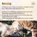 Paw Balm 30ml - Almond Honey Dog Paw Cream for Ultimate Paw Care & Protection | International Shipping Available - Buy Online on SooperMarket.com