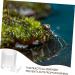 ORFOFE Pet Water Feeder Ant Waterer Ant Feeder Station Ant Bottle Feeder Ant Water Drinking Cup Plastic - Buy Online on SooperMarket.com