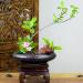 CRAFFANCY Deep Round Ceramic Ikebana Flower Vase with 5cm Kenzan Flower Frog - Black Spotted | Flower Arrangement Supplies for Home Decoration - Buy Online on SooperMarket.com