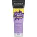 Self Tanner & Brass Fighting Shampoo and Conditioner Set for Blondes | John Frieda Violet Crush Daily Purple Shampoo + Conditioner and Jergens Natural Glow Instant Sun Sunless Tanning Mousse Deep Bronze. - Buy Online on SooperMarket.com