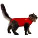 MPS Medical Pet Shirt Cat Surgery Recovery Suit Red X-Small - Buy Online on SooperMarket.com
