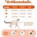 Supet Cat Dishes & Soft Vest Set for Cats & Small Dogs - Adjustable Leash Breakfast Collection Medium (33-38 cm) - Orange - Buy Online on SooperMarket.com