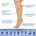 Extra Wide Calf Compression Socks 20-32mmHg Knee High Plus Size Beige 2X-Large - Pack of 1 - Buy Online on SooperMarket.com