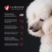 Igroom Magic Boost Dog Scissoring Spray | Luxury Pet Beauty Care | Adds Volume & Restores Natural Body | Made in USA | 8 Ounce - Buy Online on SooperMarket.com