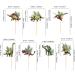 Cyodoos 28 PCS Dinosaur Cupcake Toppers Baby Dinosaur Cupcake Picks Dinosaur Theme Baby Shower Children's Birthday Party Cake Decorative Supplies Dinosaur Party Happy Birthday Party Decorative Green 1 - Buy Online on SooperMarket.com