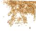 FRCOLOR 1 Glass Chip Nail Art Crushed Glass Metallic Chips for Nail Arts Resin Art Glitter Craft Crushed Glass Crushed Crystal Chips Glass Nail Flakes Glitter Colored Thick Flash Powder 3D 0.5X0.3cm Golden