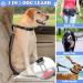 Vobuke Jogging Leash for Dogs - Shock Absorption Adjustable Reflective Belly Belt Car Safety Carabiner - Ideal for Small & Medium Dogs Up to 177lbs - Blue - Buy Online on SooperMarket.com
