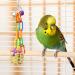 Pinenuts 4 Pack Bird Shredding Budgies Toys Parrots Chewing Hanging Foraging Toys Parrot Cage Shredder Toys Birds Cage Accessories for Small Parrots Parakeets Conures Love Birds Finches - Buy Online on SooperMarket.com