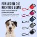 High-Quality 5m Cong Roll-Out Dog Leash for Large Dogs up to 50kg | Soft Handle & Reflective Belt | Break & Lock System | Comfortable & Durable | Gray - Buy Online on SooperMarket.com
