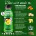 Organic Golden Tiger Turmeric Lemonade with Green Tea - Inflammation Relief & Immunity Support - 12 Bottles - Buy Online on SooperMarket.com