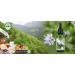 Alphapower Sugar-Free Flavor Drops | 100% Natural Bourbon Vanilla Stevia | 50ml Aroma for Water Muesli & Smoothies - Buy Online on SooperMarket.com