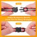Extodry Reflective Cat Collar Set - 8 Pieces with Name Address Tags & Safety Lock | Adjustable Kitten Collars (6-9) | Personalized Pet Accessories (15-23cm) - International Shipping Available - Buy Online on SooperMarket.com