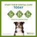 WHIMZEES Wellness Toothbrush Dog Chews for Medium Breeds - 30 Piece Month Box - Buy Online on SooperMarket.com