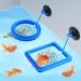 Molain Fish Feeding Ring 2 Pieces Fish Feeder Aquarium Fish Turtle Tank Accessories Food Feeder Circle For Guppy Bettas goldfish Turtle (Blue) - Buy Online on SooperMarket.com