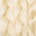 Tess Braids Extensions - 60 cm Jumbo Kanecalon Hair 5 Pack Light Blonde #613 for Box Braids - Buy Online on SooperMarket.com