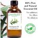 Eucalyptus Essential Oil - 100% Pure - 16 fl oz | Natural Eucalyptus Oil - Buy Online on SooperMarket.com