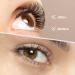 120 Clusters C Curl DIY Eyelash Extension Premade Volume Fans by MAEXUS | Individual Lashes - 0.07C 8mm-16mm MIX BP02BK20D_A - Buy Online on SooperMarket.com
