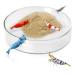 Tough Borosilicate Glass Shrimp Feed Dish Never Run out Of Food for Shrimps Prevent Food Spilling Heavy-Duty Transparent Basin for Shrimp Food or Fish s Tubifex Worms