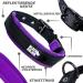 Black Rhino Comfort Collar - Super Soft Neoprene Dog Collar for All Breeds | Adjustable Reflective Weatherproof - Medium Purple/Black - Buy Online on SooperMarket.com