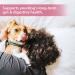 Premium Dog Probiotics 5BIL CFUs | 12 Strains Good Bacteria for Gut & Skin Health | Immune Support & Itch Relief | Salmon Flavored Chews for All Breeds & Ages - Buy Online on SooperMarket.com