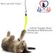 Pet Fit For Life Cat Toy - 5 Piece Worms Teaser and Exerciser for Interactive Play with Cat and Kitten - Buy Online on SooperMarket.com