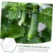 Milisten 9 Pcs Vegetable Shaping Mold Watermelon Strawberry - Buy Online on SooperMarket.com