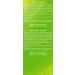 Weleda Citrus Deodorant 3.4 FL Oz - Pack of 2 | Natural, Long-lasting Freshness - Buy Online on SooperMarket.com