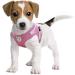 Pet's Playground Small Dog Harness | Dog Harness Small Dog | Puppy Dog Harness | Dog Harness For Puppies | Dog Harness For Small Dogs | Harness for Small Dogs UK | Extra Small Dog Harness | Pink | XS Pink Extra Small