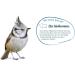 Elles Meisenkn del 6-Pack 100% Natural Energy-Rich Wild Bird Food | Nut-Free & Eco-Friendly Beak-Friendly Treats - Buy Online on SooperMarket.com