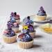 Shop Alegre 60 Edible Flowers for Cakes | Decorative Pansies for Birthdays Weddings & Muffins - Buy Online on SooperMarket.com
