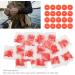 100 Bags Fishing Pellet Bait Bands - Rubber Rings for Carp Fishing Hair Rigs & Hooks | Coarse Fishing Terminal Tackle 3x1mm - International Shipping Available - Buy Online on SooperMarket.com