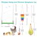 Woiworco Chicken Coop Accessories: 7 Pack Chicken Toys - Xylophone, Swing, Mirror, Pecking, Vegetable Feeder & More - Buy Online on SooperMarket.com