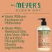 Buy MRS. MEYER'S CLEAN DAY Hand Soap - Essential Oils Biodegradable Geranium Scent 12.5 fl. oz | International Shipping Available - Buy Online on SooperMarket.com