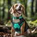 Joytale Reflective Dog Collar for Small Dogs - Turquoise S Pack of 1 | International Shipping - Buy Online on SooperMarket.com