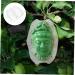 IWOWHERO Fruits Forming Mould Vegetable Growing Mold Ginseng Fruit Melon Shaping Mold Novel Shaping Mold Multipurpose Gourd Head - Buy Online on SooperMarket.com