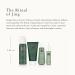 RITUALS Jing Calming Gift Set - Foaming Shower Gel, Body Scrub, Dry Body Oil & Sleep Mist - Sacred Lotus & Jujube | Small - Buy Online on SooperMarket.com