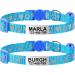 Tagme 2er-Pack Cat neck band with name and address shield reflective cat neck band with safety clasp and bell for puppy and cat sky blue 18-28 cm sky blue