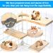 Shop Wangdu 5-Piece Hamster Accessories Set - Natural Wood Toys for Hamsters Guinea Pigs & Mice | DIY Cage Decor & Bird Seating Platform - Buy Online on SooperMarket.com