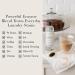 The Laundress Stain Solution - Effective Stain Remover for Clothes | Red Wine Coffee & Blood Stains | 16 Fl Oz | International Shipping Available - Buy Online on SooperMarket.com