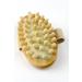JIAHAO Natural Wood Hand-Held Massager Body Brush for Cellulite Reduction - Set of 2 (Large) - Buy Online on SooperMarket.com